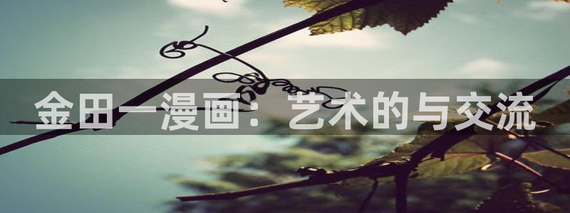 羞羞漫画免费网页入口：金田一漫画：艺术的与交流